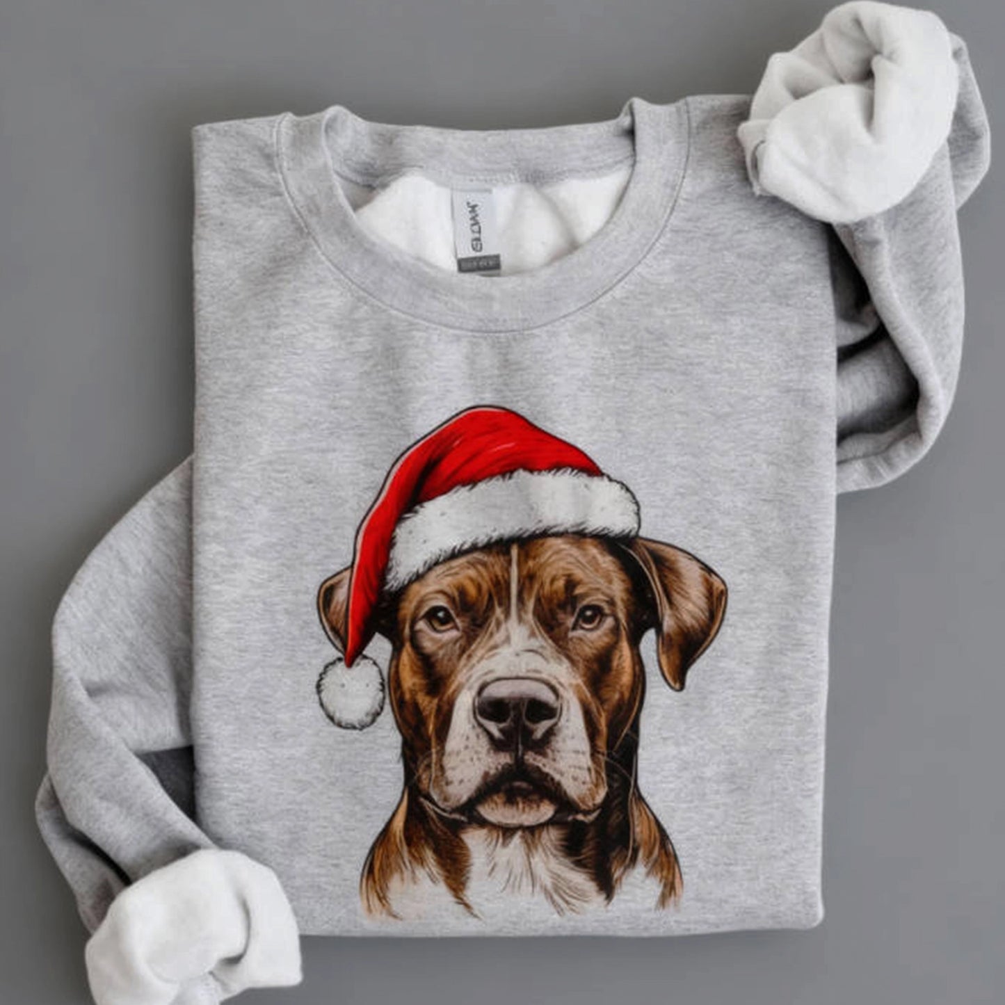 Custom Christmas Pet Hoodies G9W168